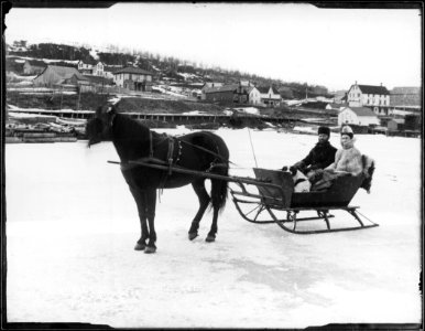 Gore Bay [horse-drawn sleigh] photo