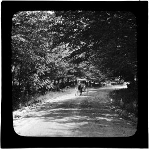 Horse and buggy on the road photo