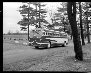 West York Coach Lines school bus photo