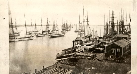 Busy port and harbour scene at Sarnia Bay photo