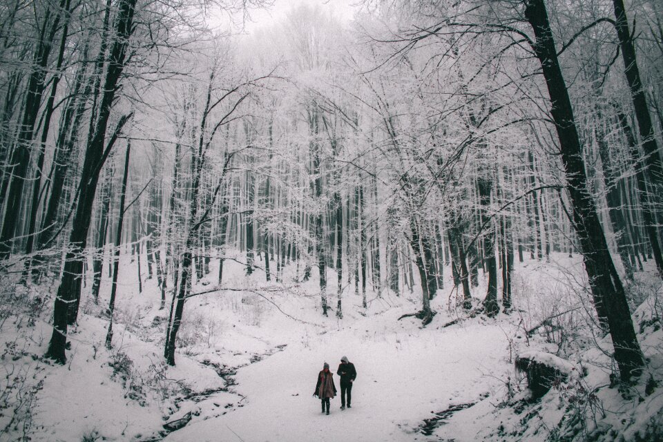 Outdoor nature snow
