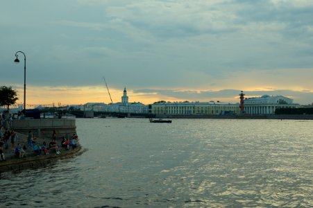 DSC03956
