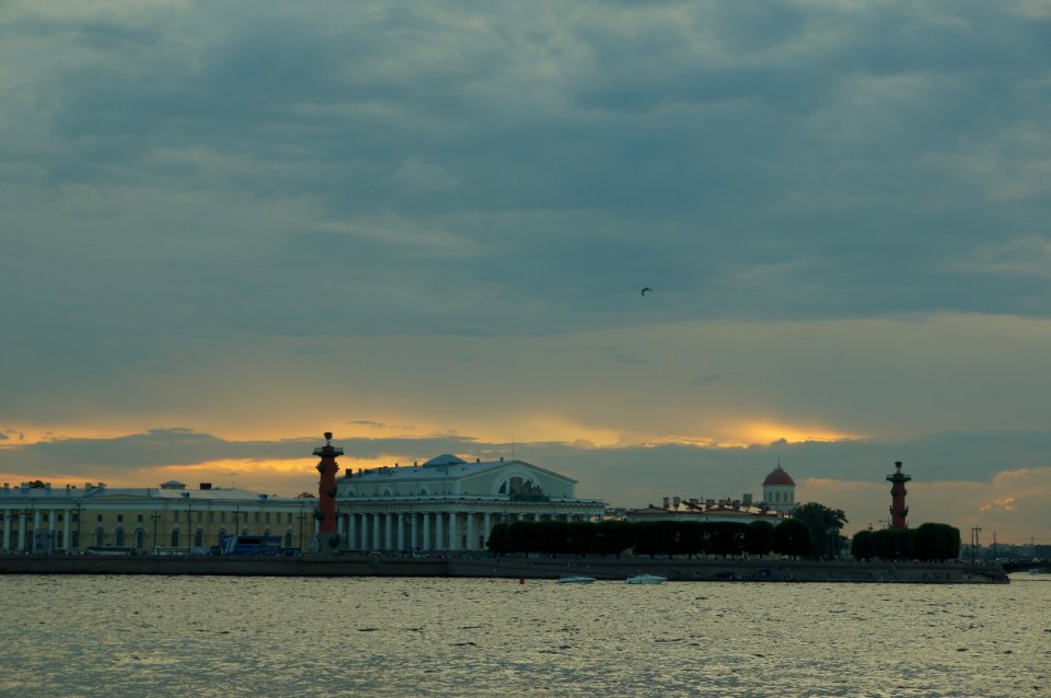 DSC03948