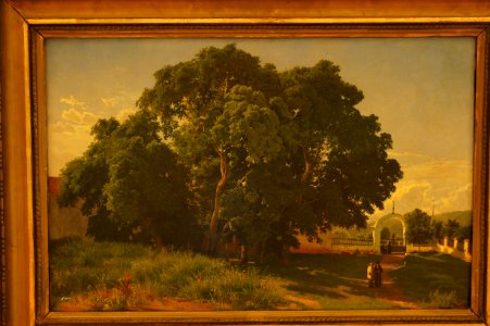DSC03552