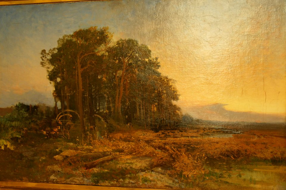 DSC03546