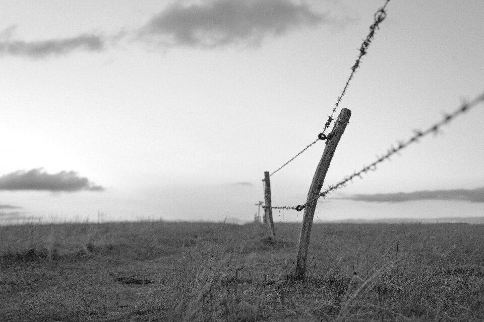 Rest horizon black and white
