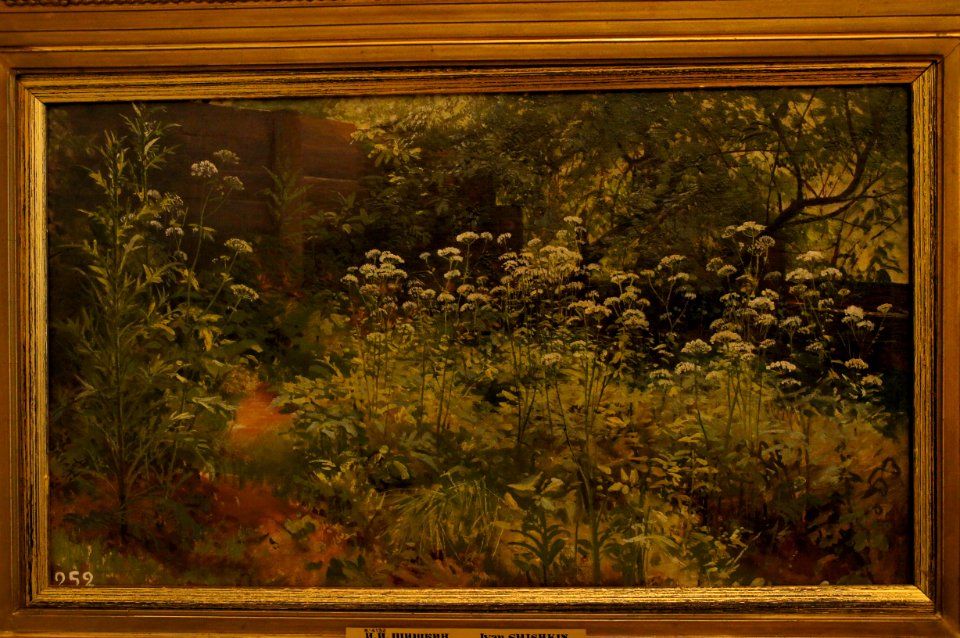 DSC03636