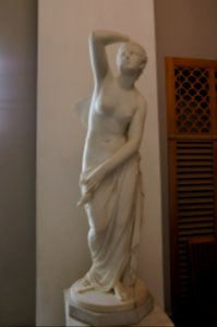 DSC03295