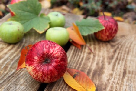 Apples red apple green apple