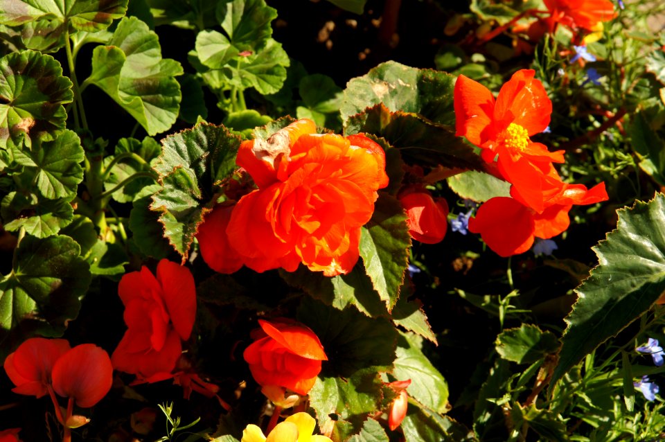 DSC03207