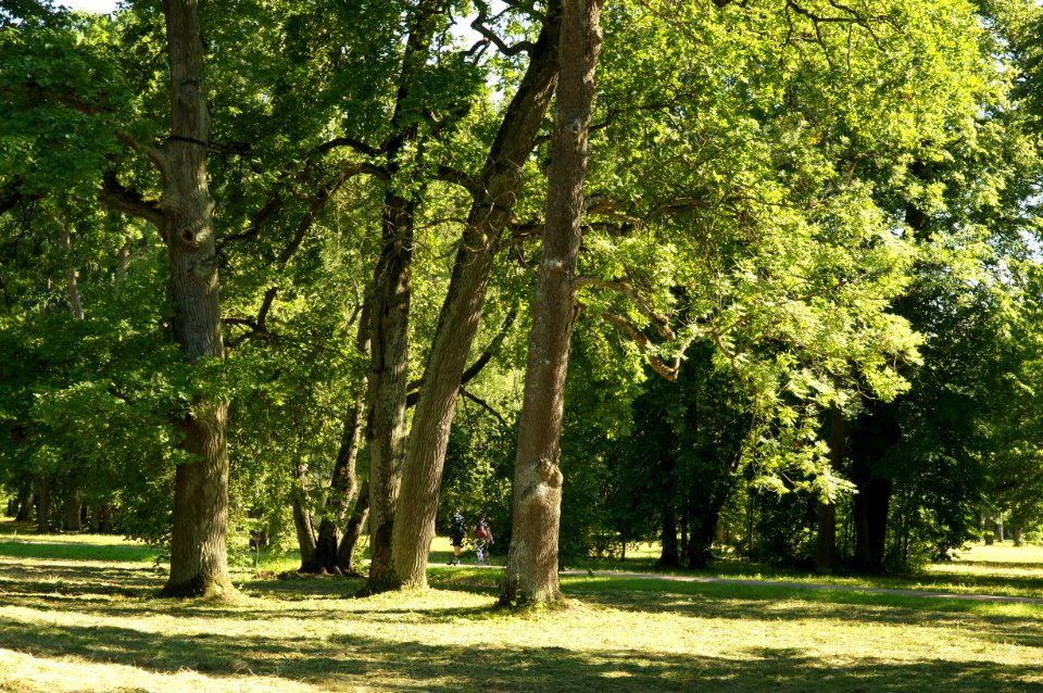 DSC03192