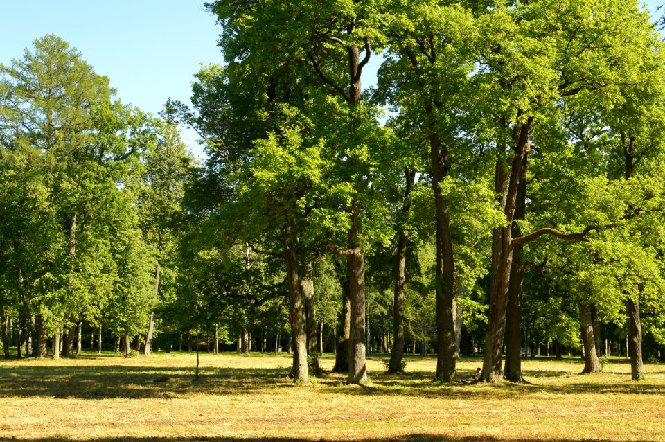 DSC03187
