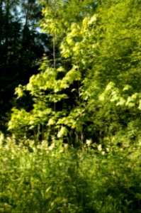 DSC03159