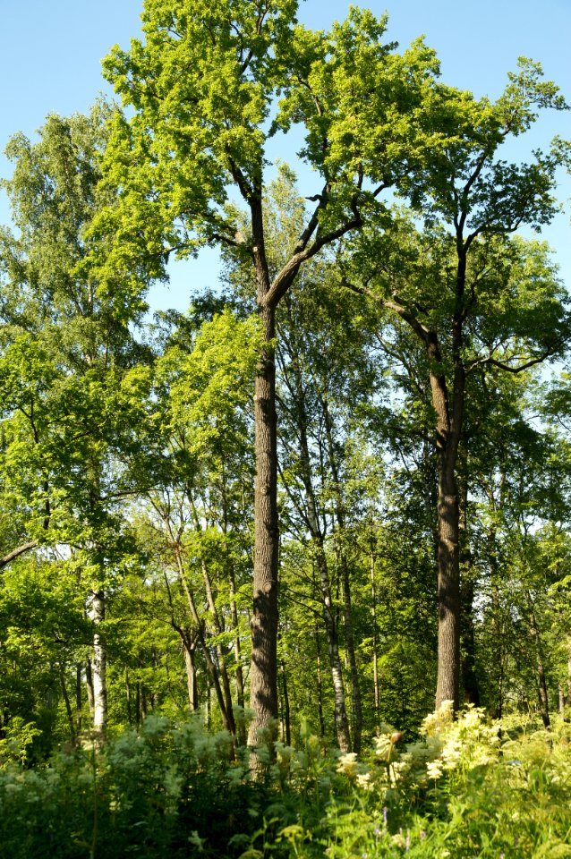DSC03163