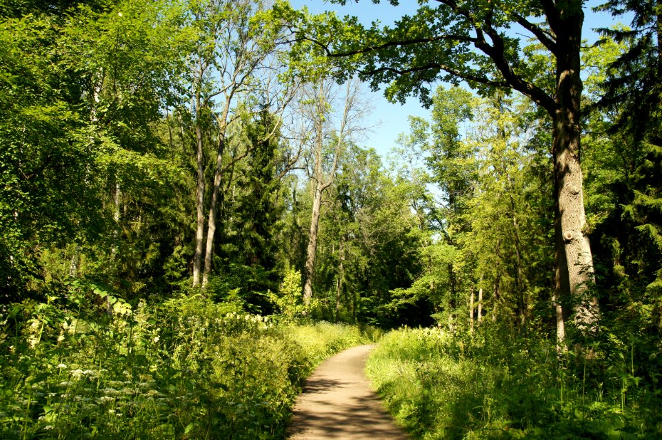 DSC03156