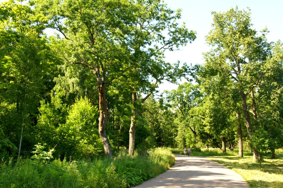DSC03134