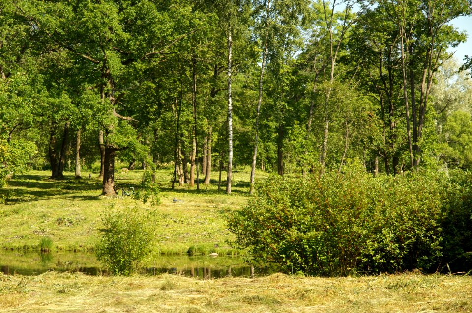DSC03137