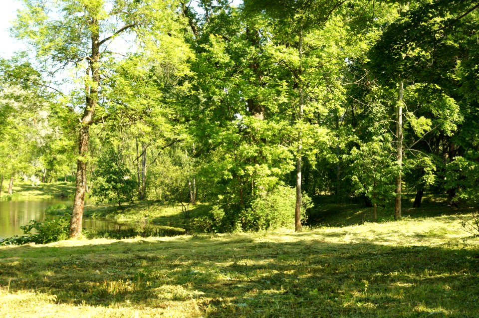 DSC03133