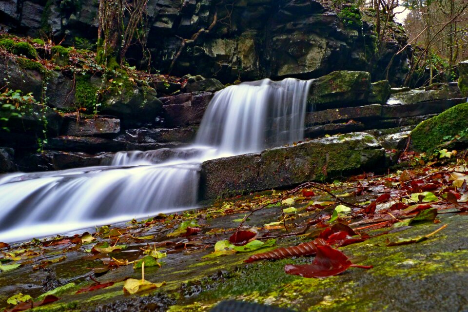 River cascade forest