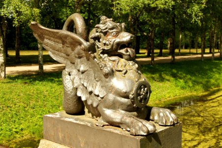 DSC03029