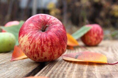 Fruit red apple green apples