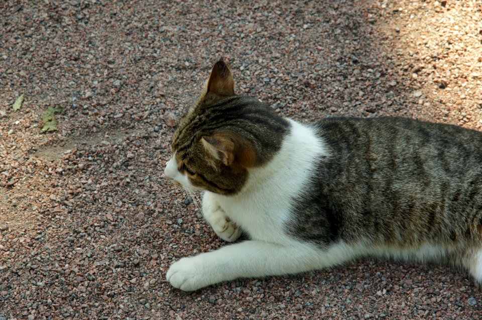 DSC03116