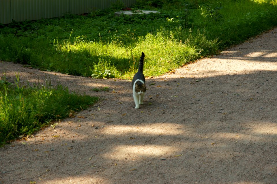 DSC03108