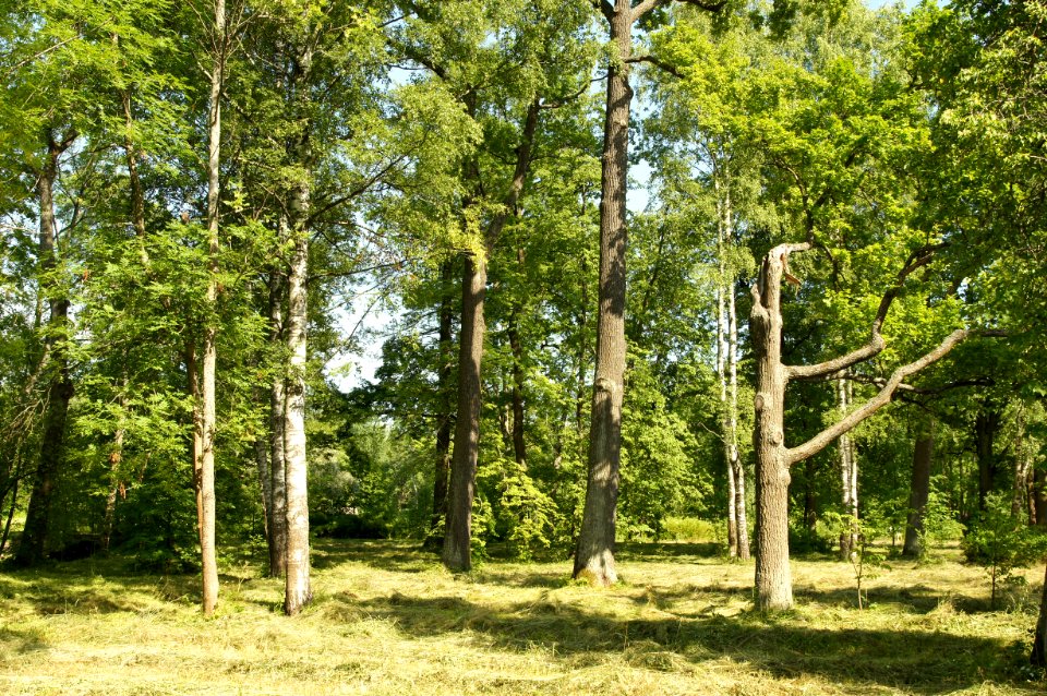 DSC03105