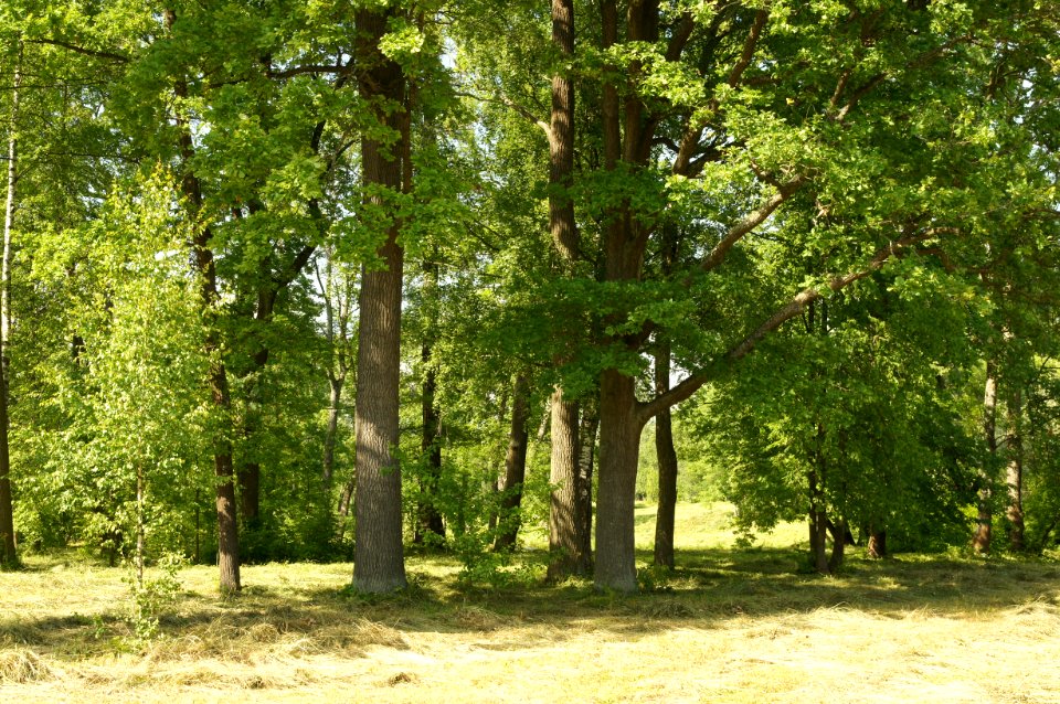 DSC03101