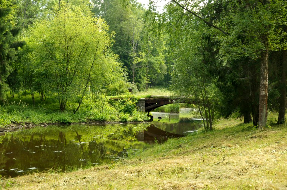 DSC03081