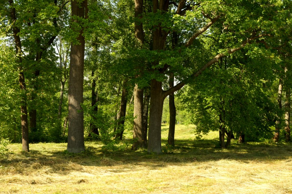 DSC03099