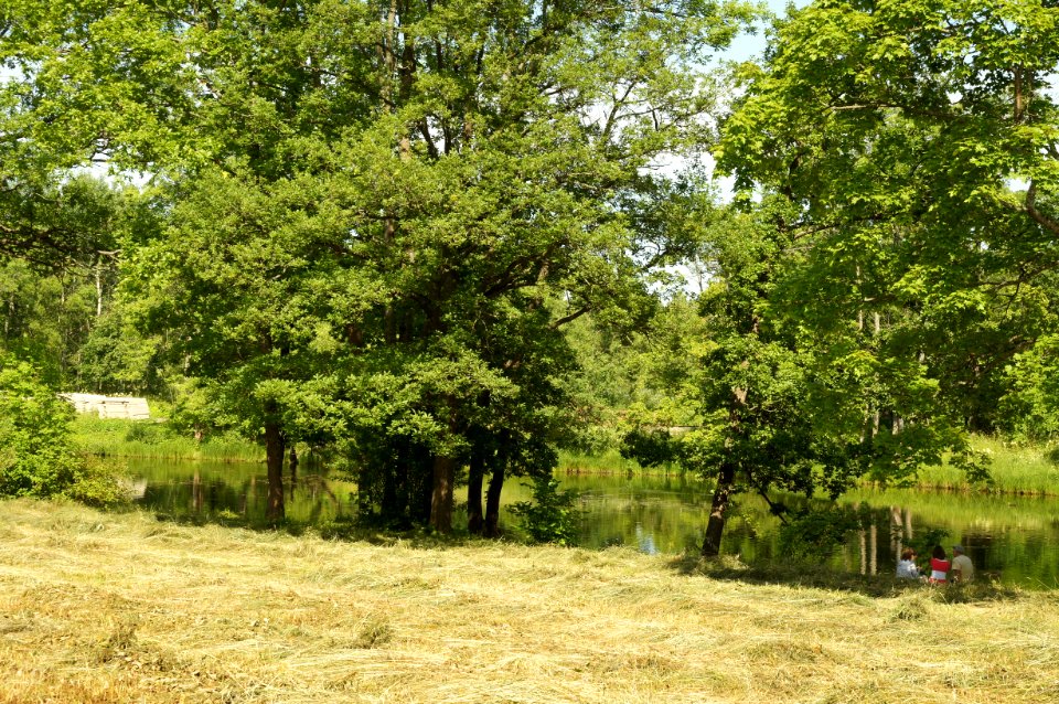 DSC03096