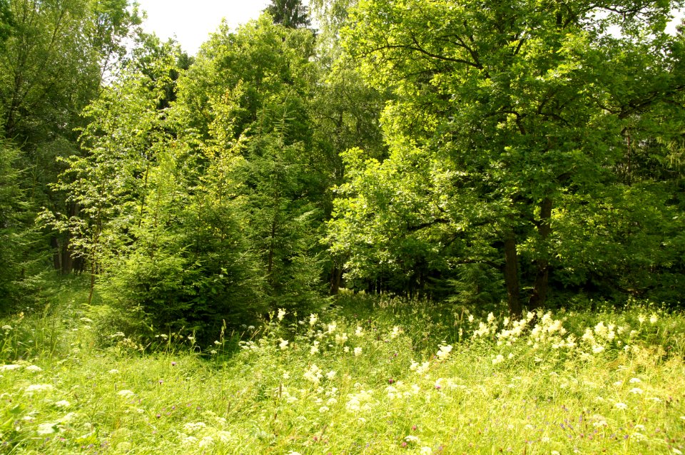 DSC03043