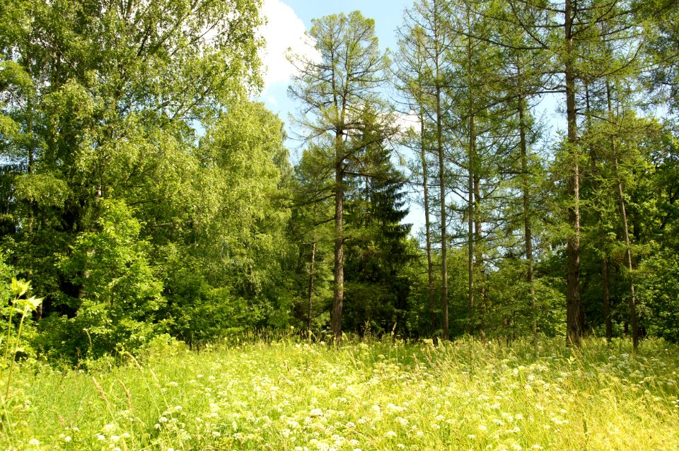 DSC03045