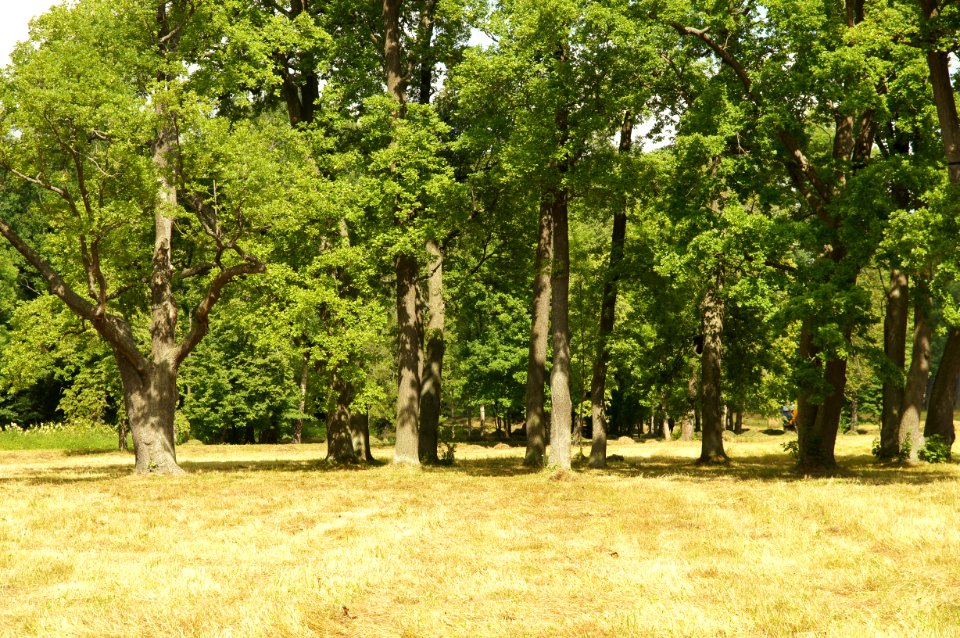 DSC03036