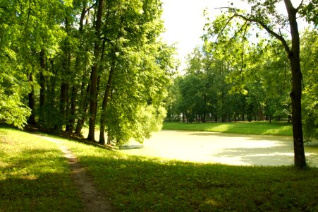 DSC02865