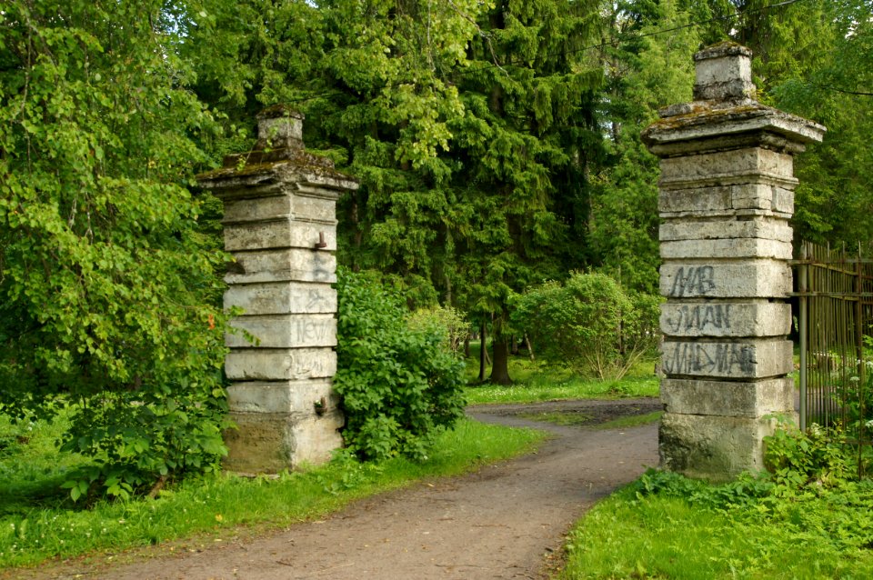 DSC02666