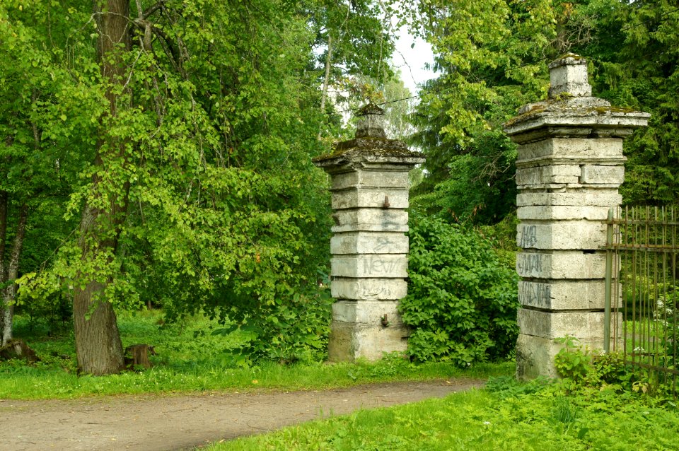 DSC02662