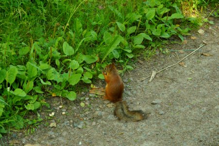 DSC02650
