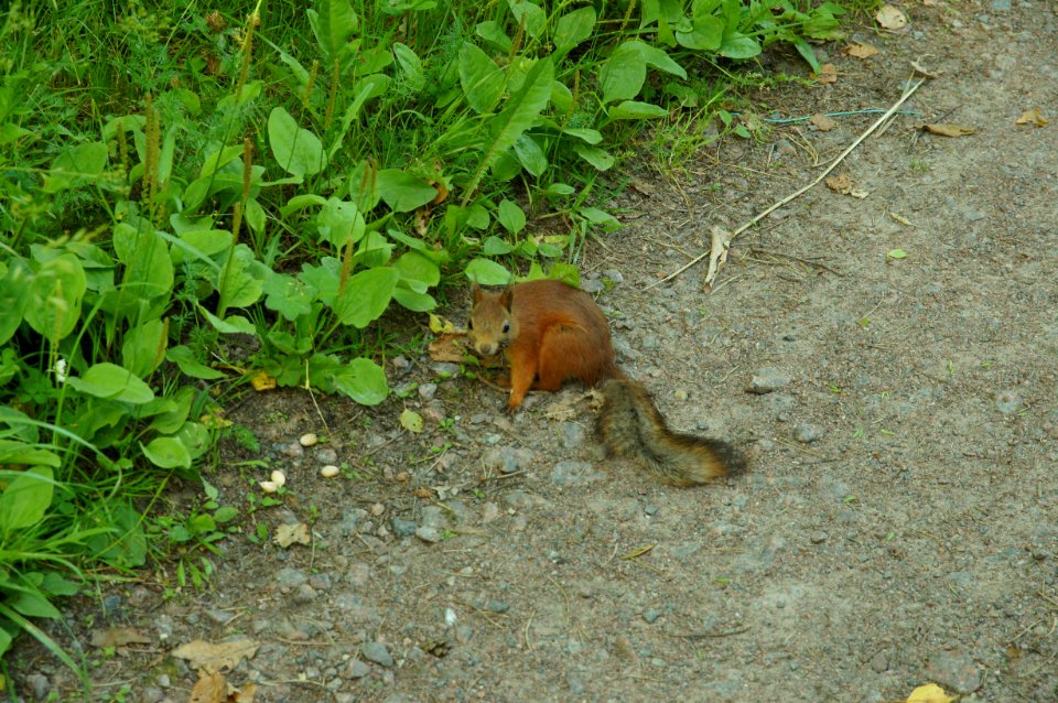 DSC02651