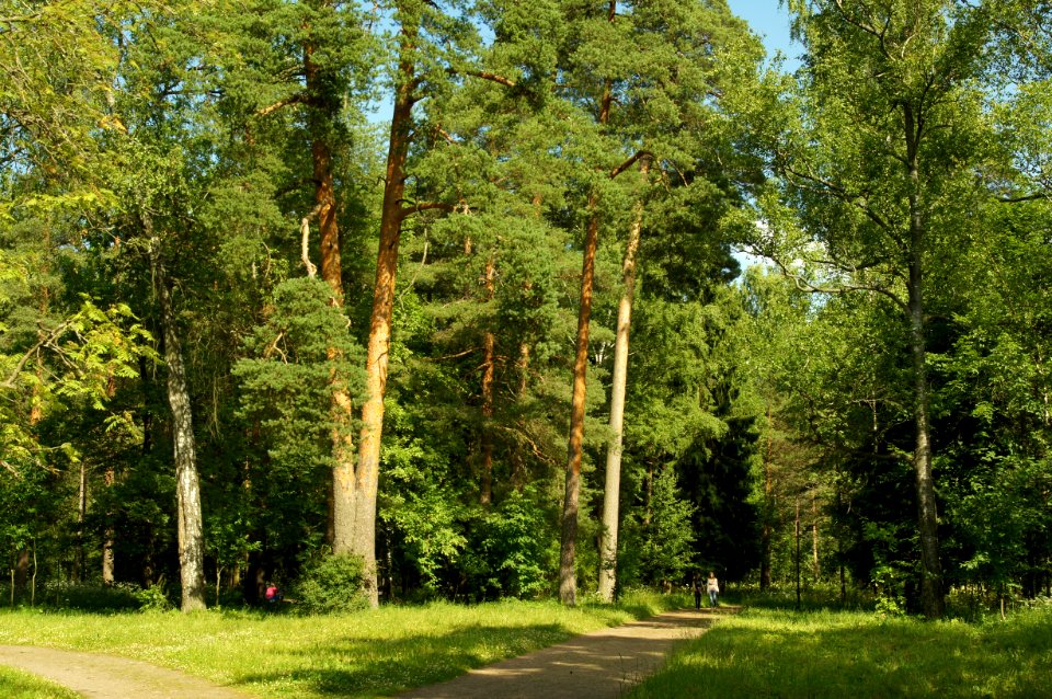 DSC02640
