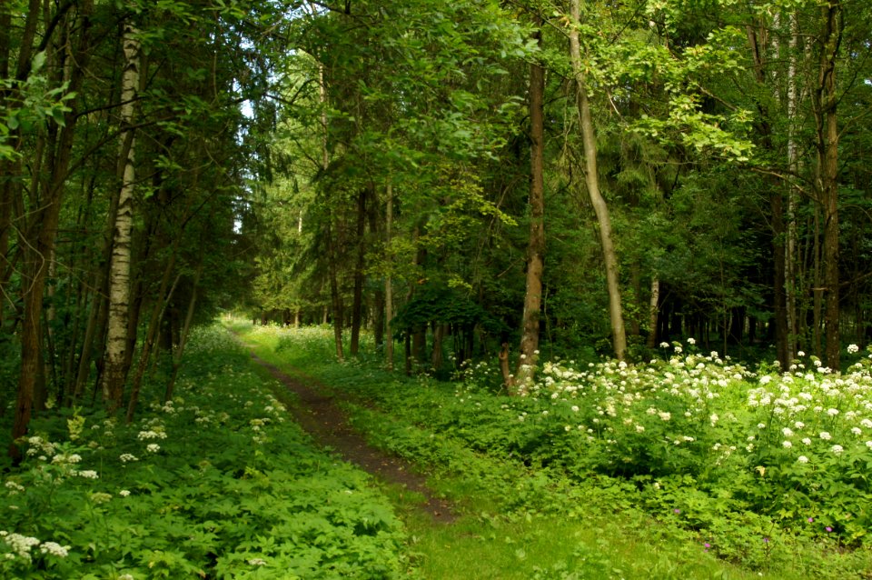 DSC02610