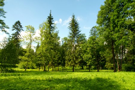 DSC02535