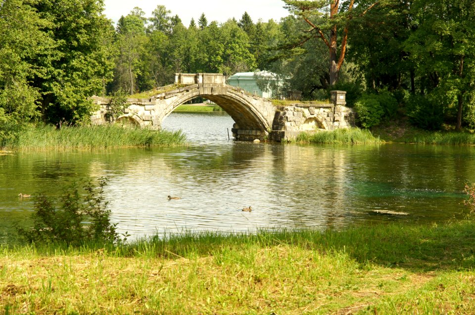 DSC02528