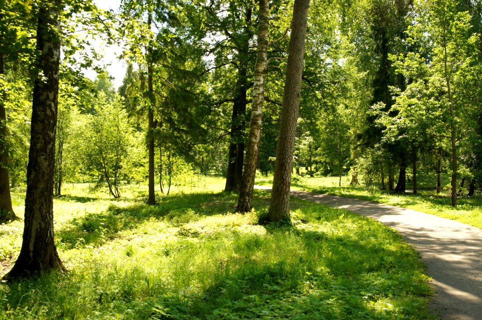 DSC02513