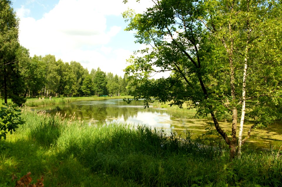 DSC02501