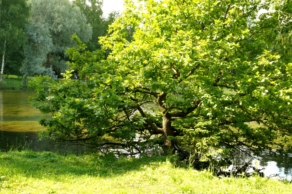 DSC02504