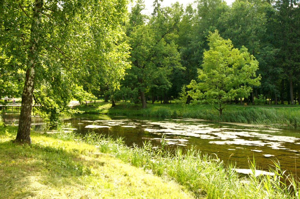 DSC02483