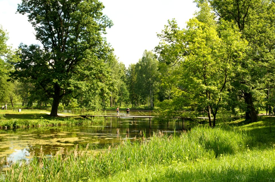 DSC02496