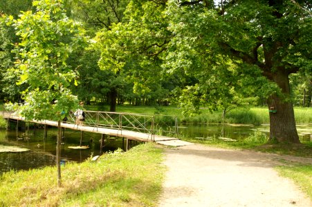 DSC02469